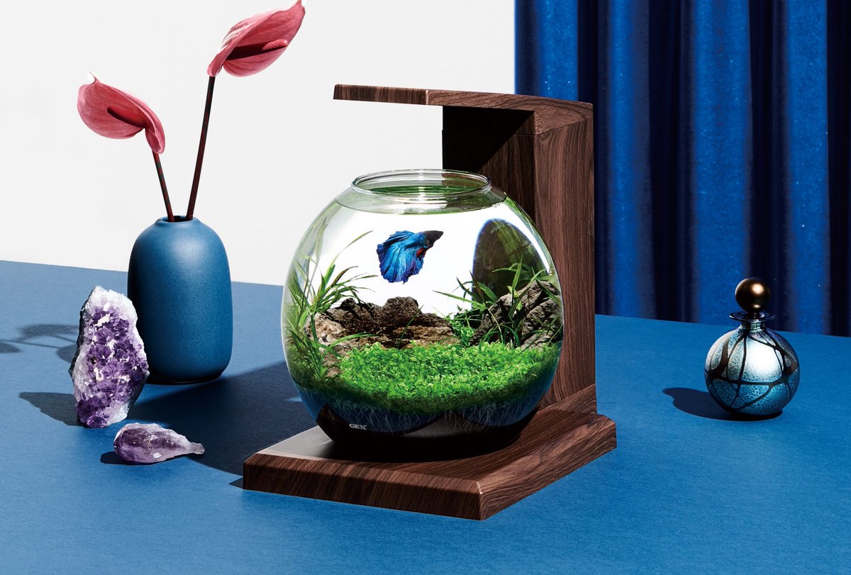 kato norihiro tweet media