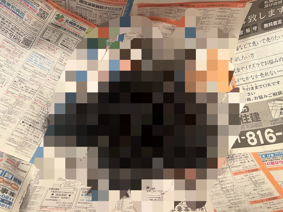 ミコスリ・ハン tweet media