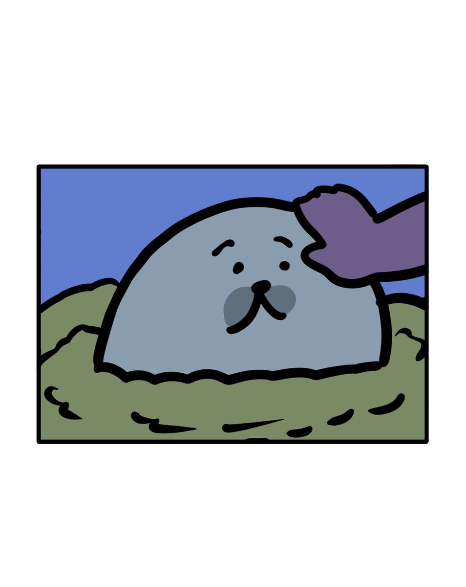 飛んで行っちゃうアザラシ (@aza__official) on Twitter photo 