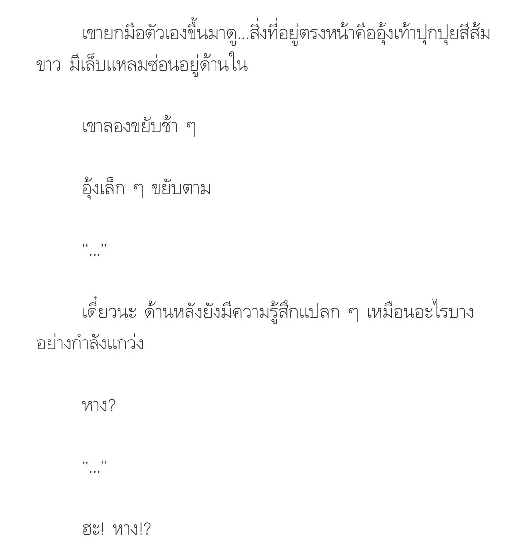 แมวส้มส้ม ₍^. .^₎⟆ tweet media