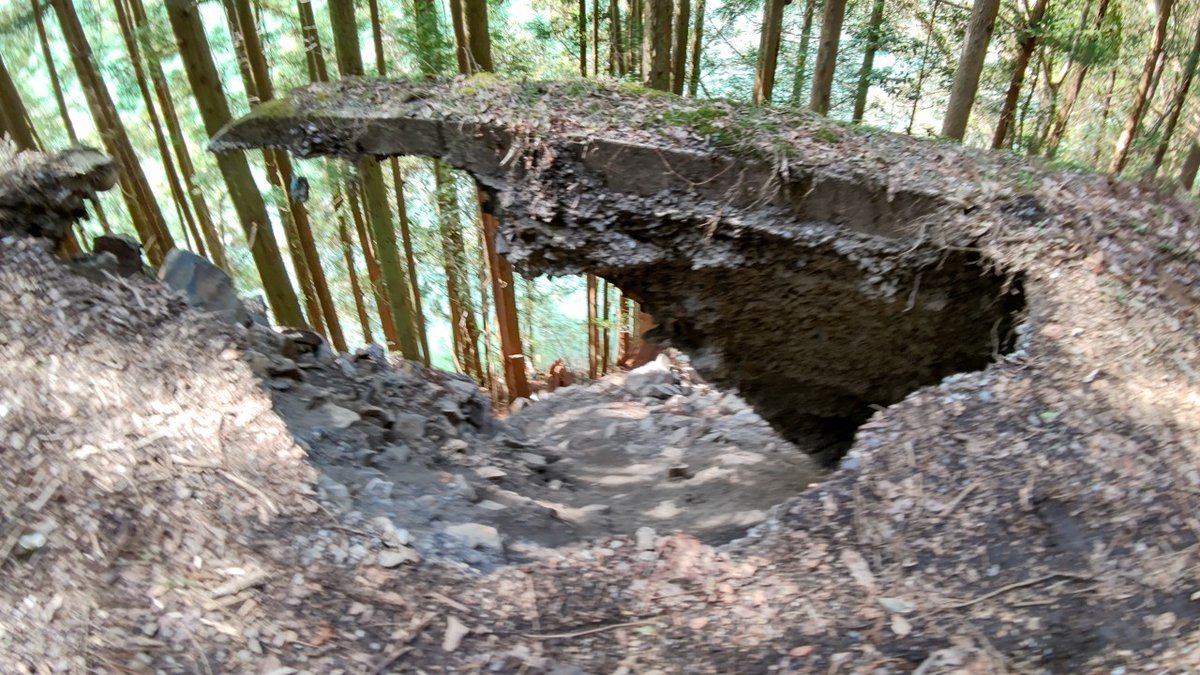 犯人はヤス tweet media