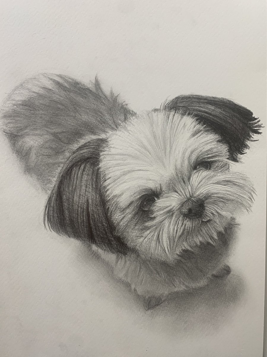 어때요 여러분들
제가 그렸어요 ㅎㅎ
칭찬 많이 해주세요 ㅎㅎ