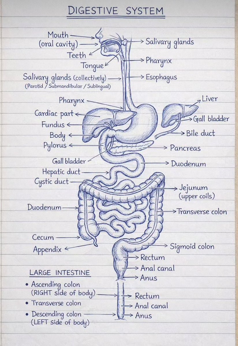 KNOWLEDGE POINT tweet media