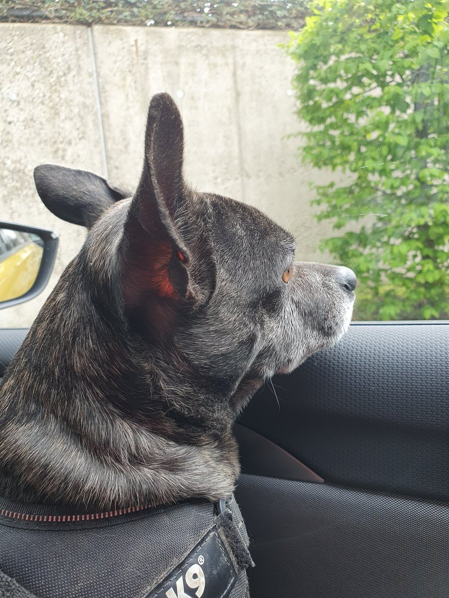 Ich hab mein Baby wieder!!!!!