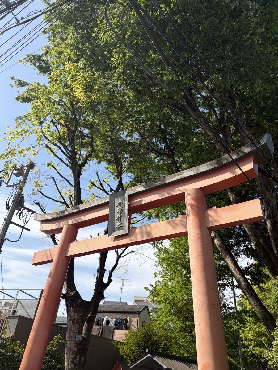 모토키 일루와. tweet media