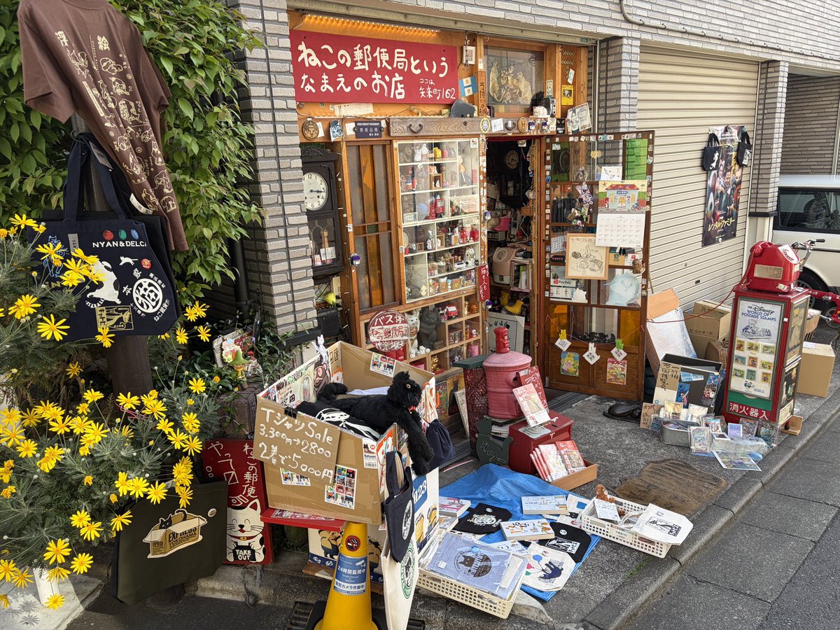 모토키 일루와. tweet media