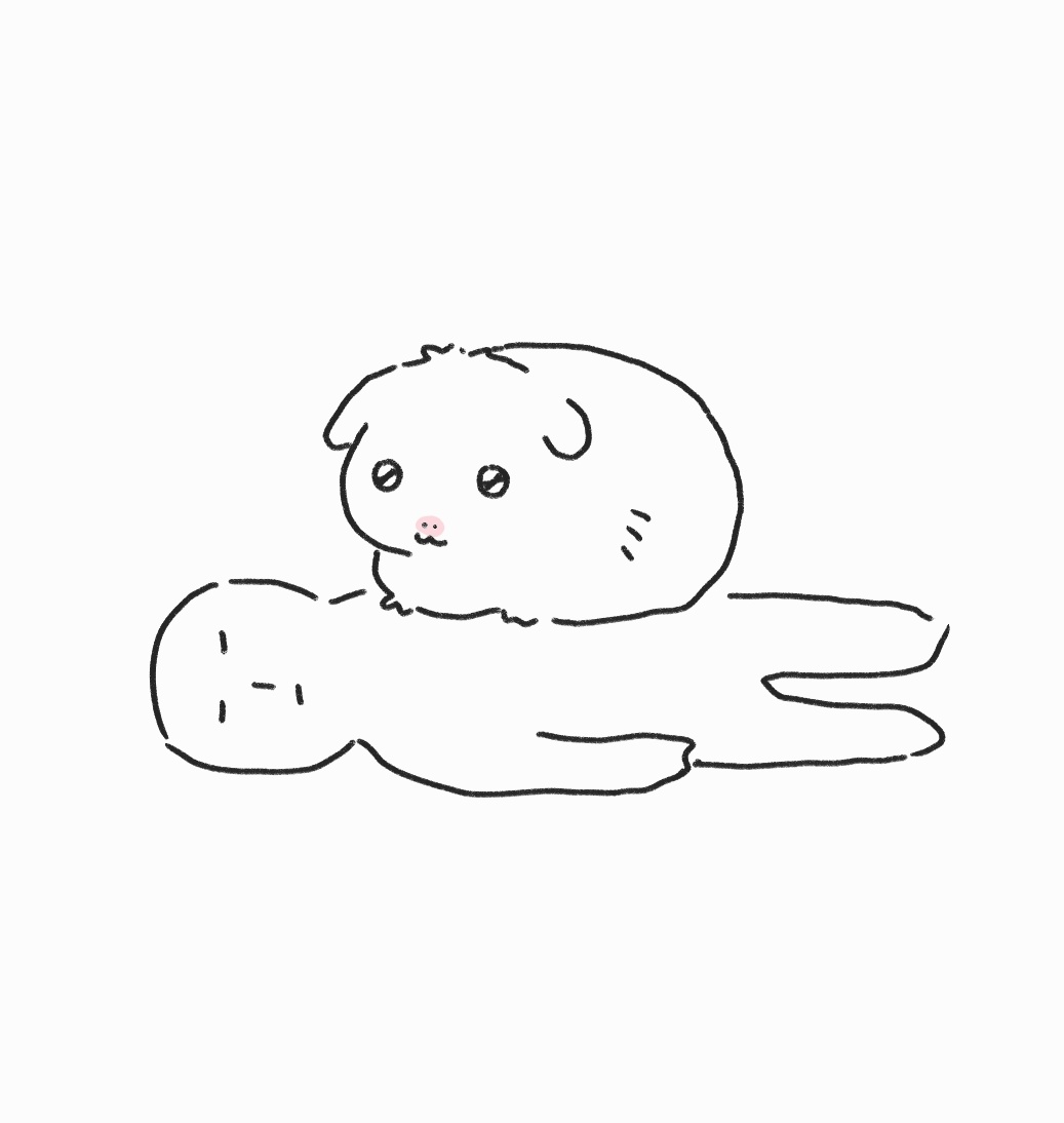 furrygirlbanana's tweet photo. 가슴위에 기니올라감 https://t.co/cEggvLHPYZ