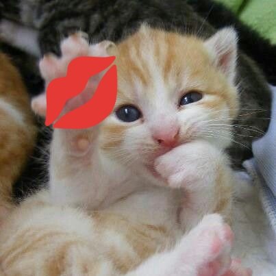 Kizary26ఌ︎🚬 tweet media