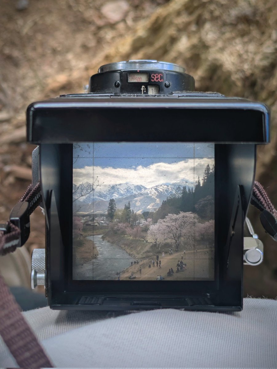 800でドピーカン撮れるのか問題🌸