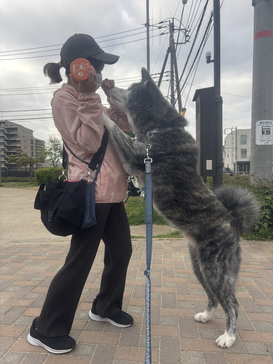 茜☆丸 tweet media