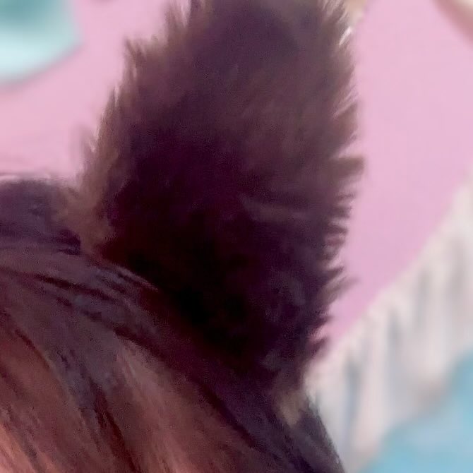 とろろ🍙 tweet media