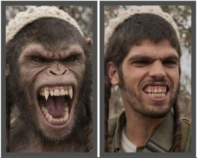 ⚜️ Ren Flock ⚜️ tweet media