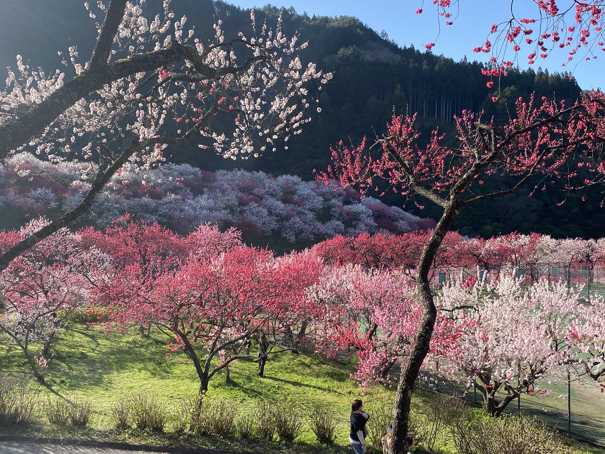 あいぽん tweet media