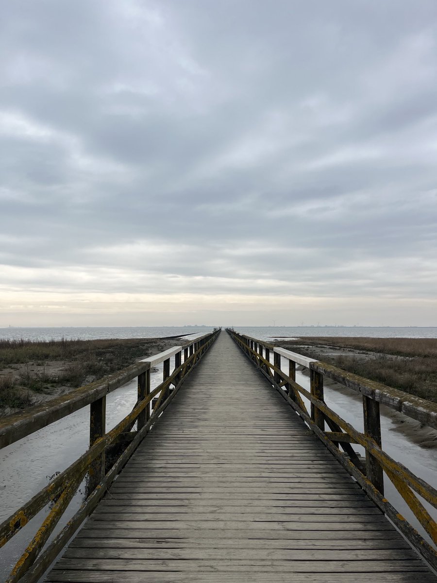 ShahidMAskerN's tweet image. Good afternoon friends 🌊🕊️
#Germany