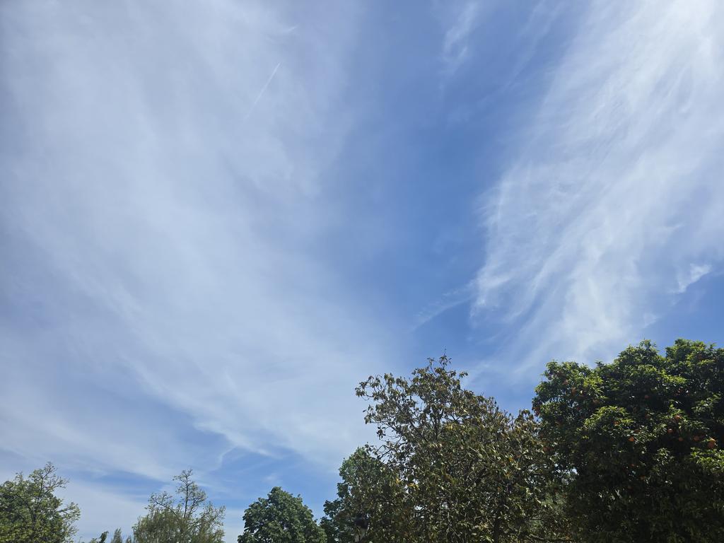 Alicia Florrick tweet media