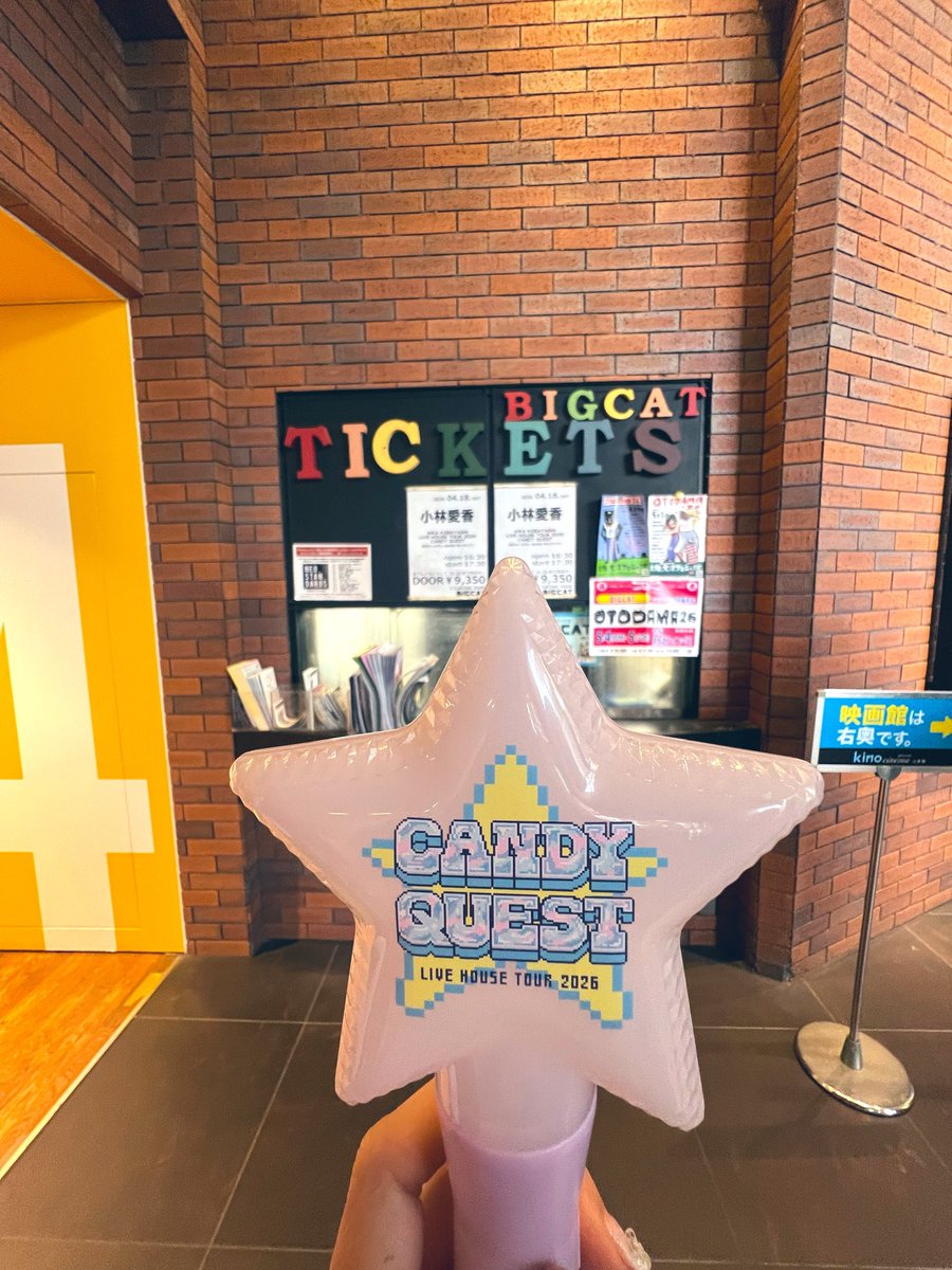 レイナ🙋‍♀️ tweet media