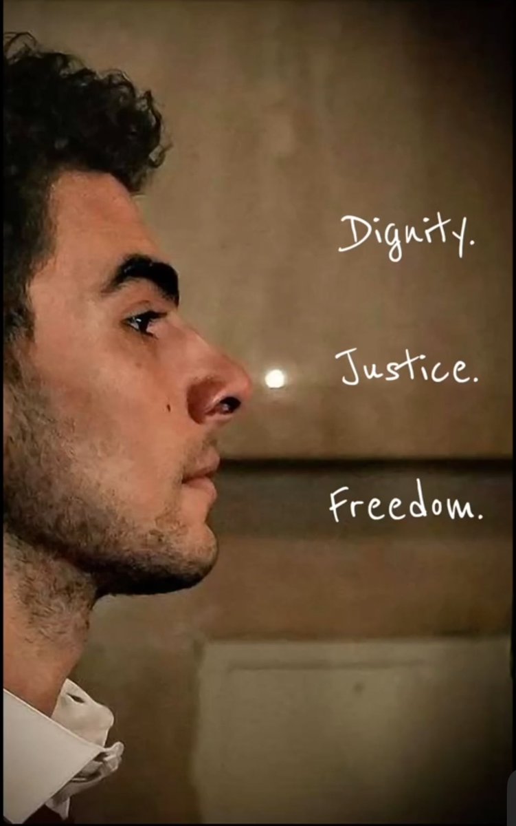 givesendgo.com/luigi-defense-…