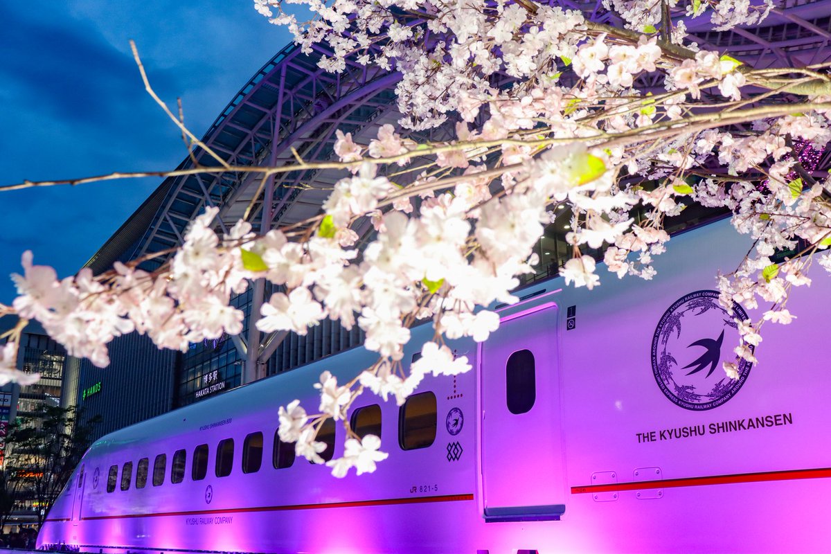 おふぐє( ˘ω˘ )эP C107 (2日目)西2さ38b委託 tweet media