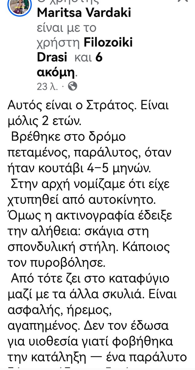 Christinaliroudia tweet media