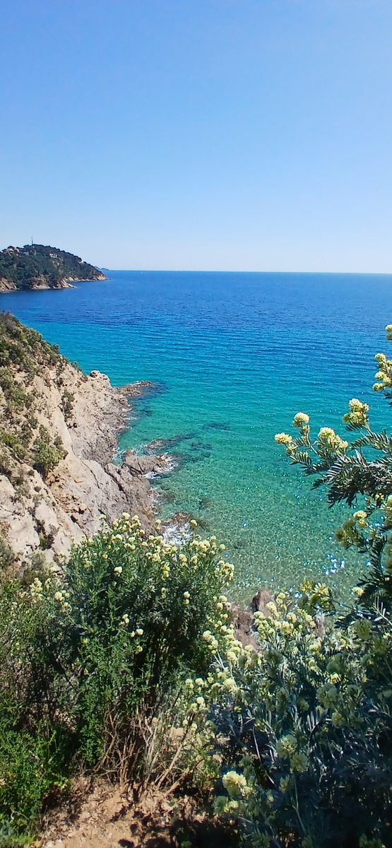 Bon week-end.
Cavalaire