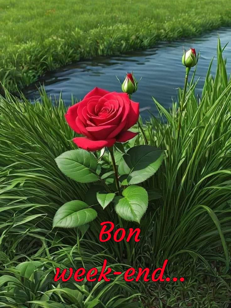 Romain1a's tweet photo. Bon samedi et bon weekend à toute la grande famille de la #ligue_des_optimisted https://t.co/89SXsrRUNE