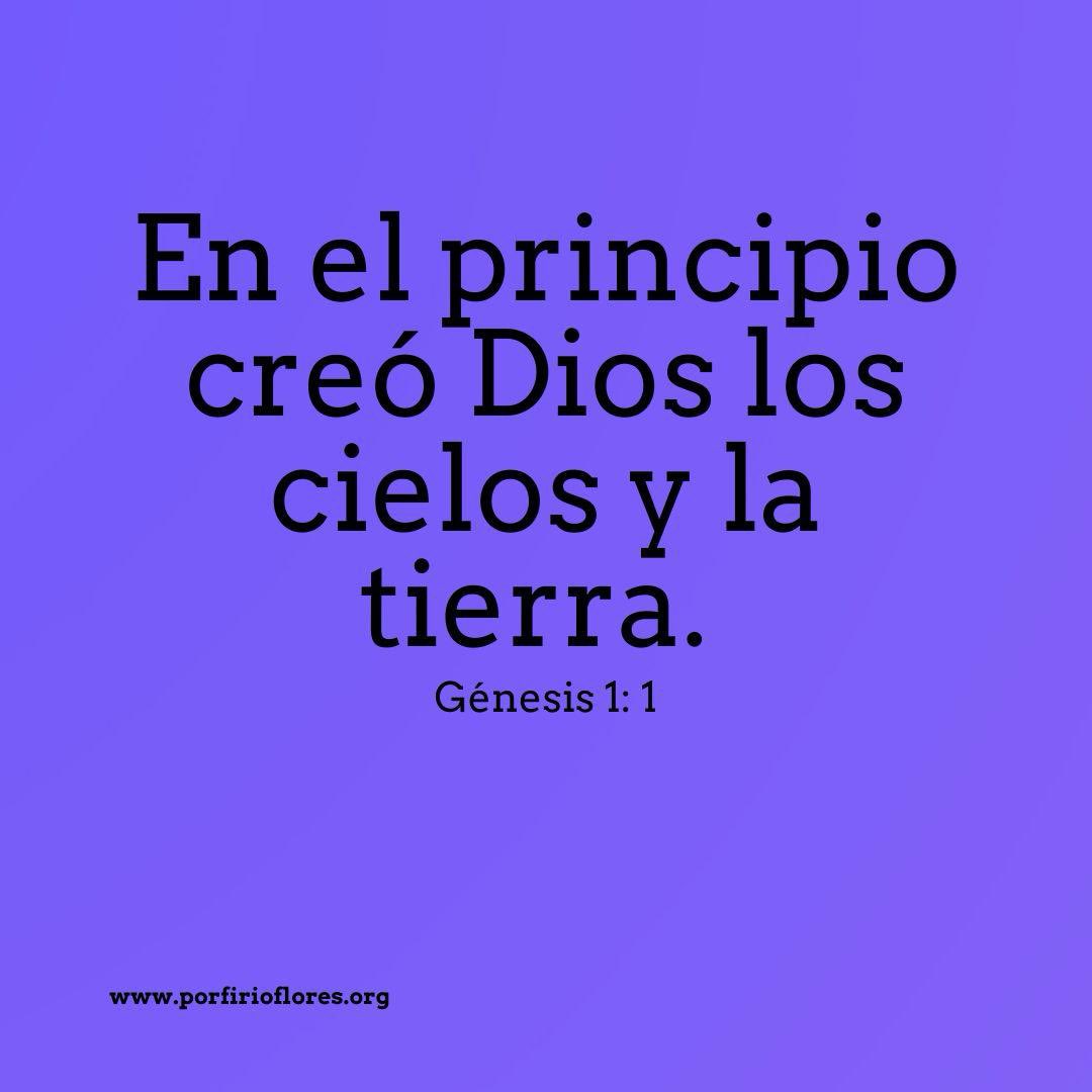 Porfirio Flores tweet media