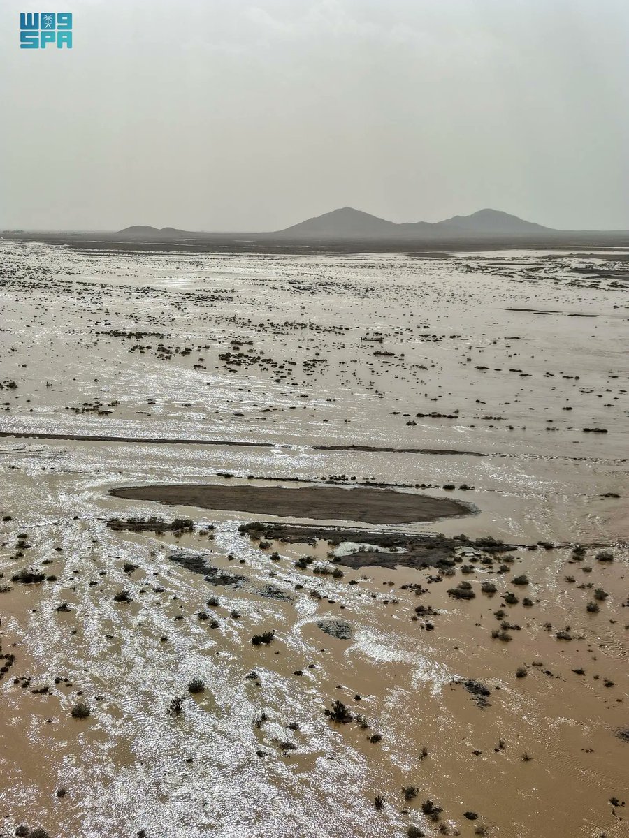 واس جودة الحياة tweet media