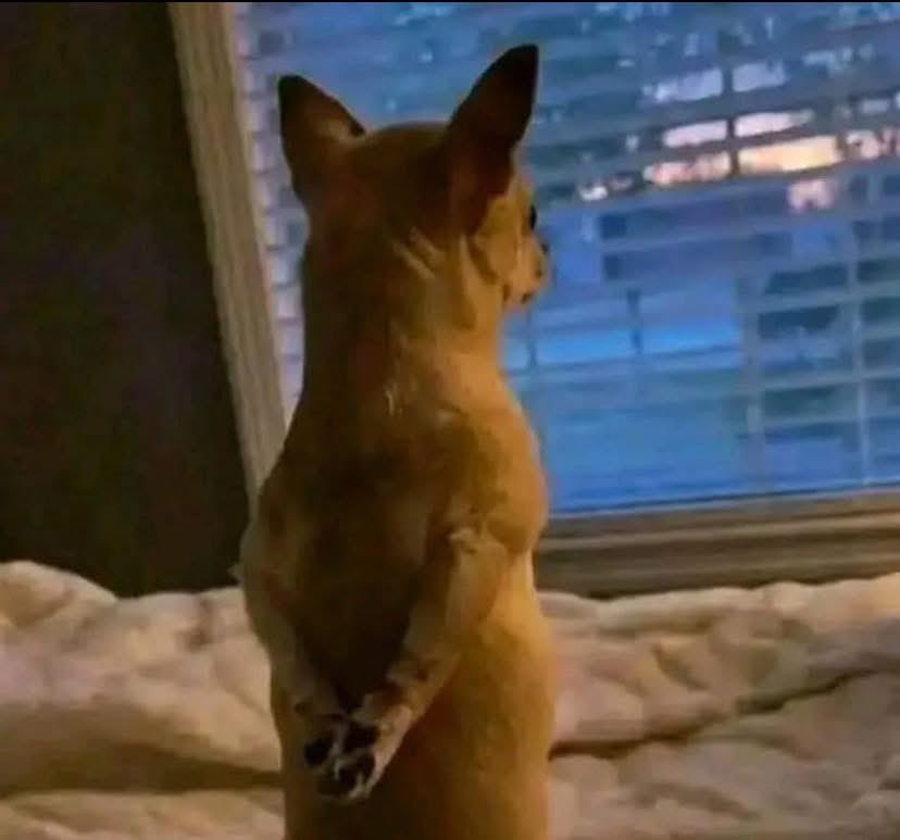 Y'all be intentionally skipping my posts and claiming you're not seeing them.