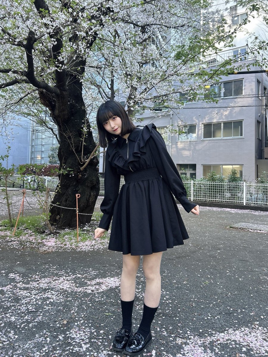 颯 詩音｛紫陽花は降らない｝ tweet media