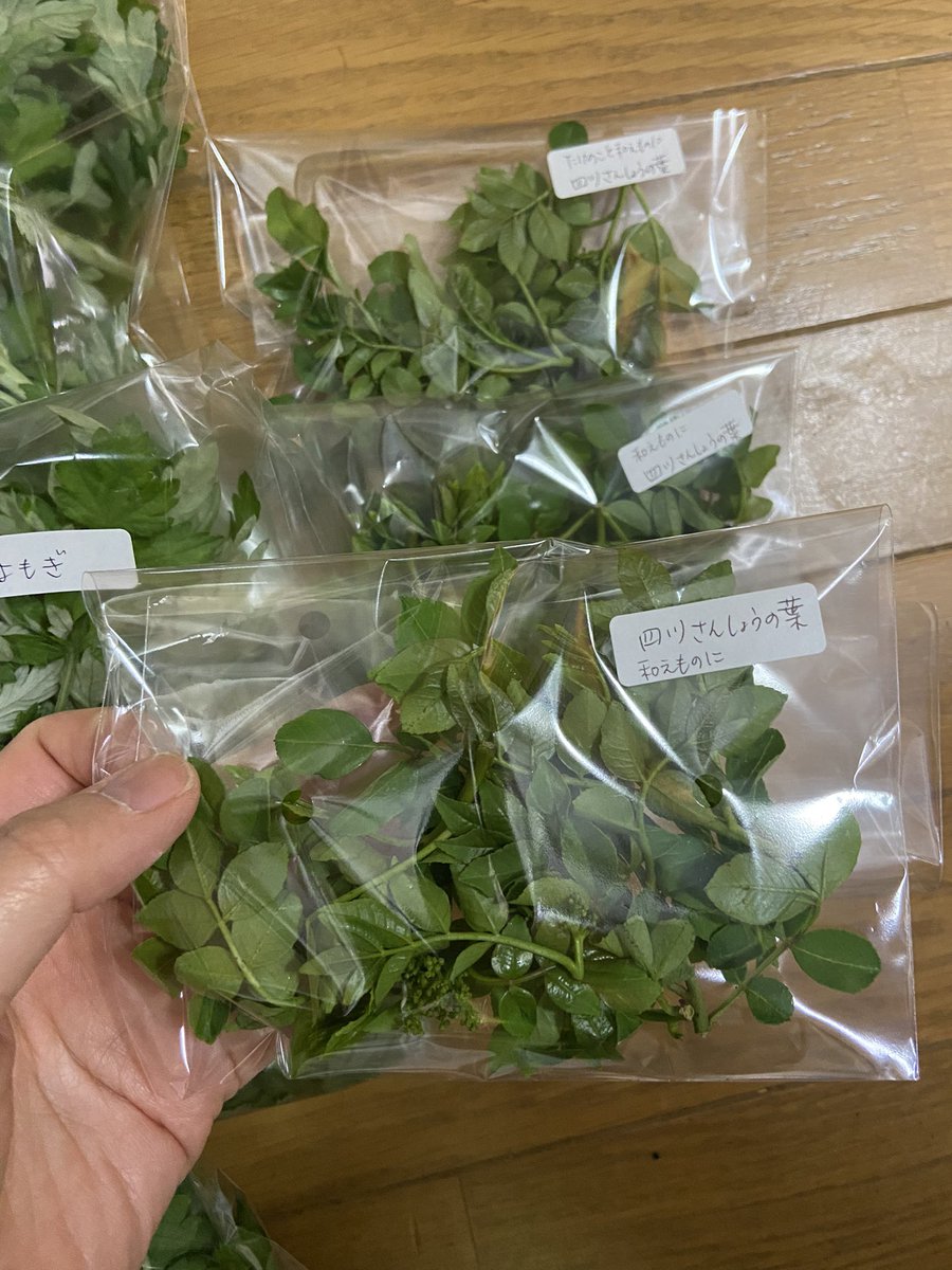 happyrize tweet media