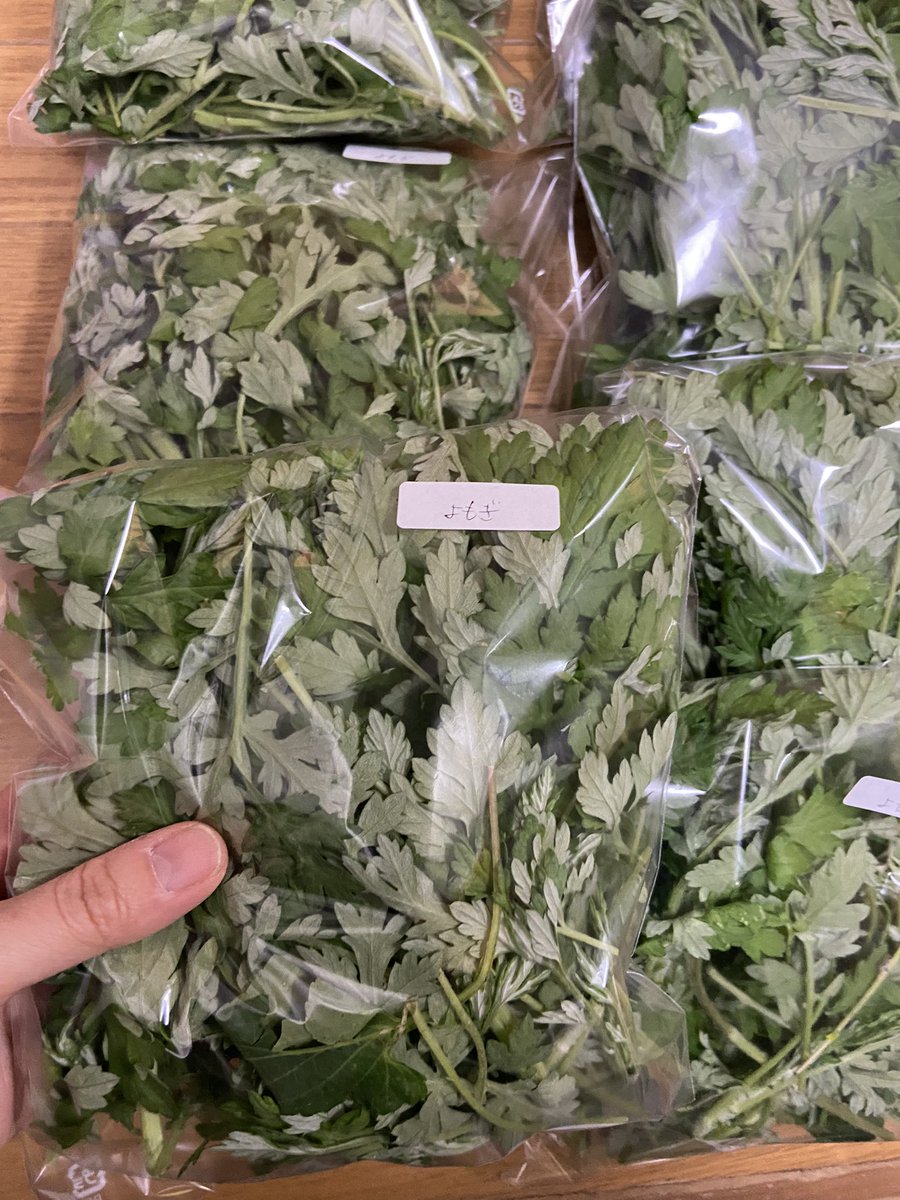 happyrize tweet media