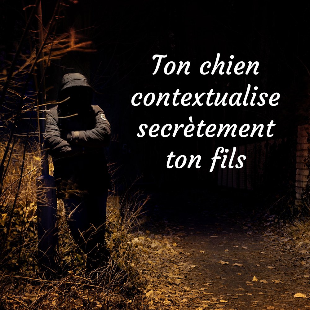 Proverbot 🌚 (@theproverbot) on Twitter photo 