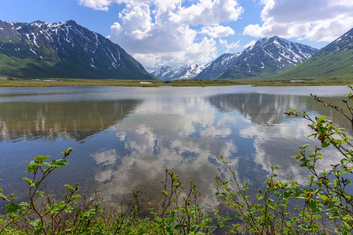 Franklin Graham tweet media