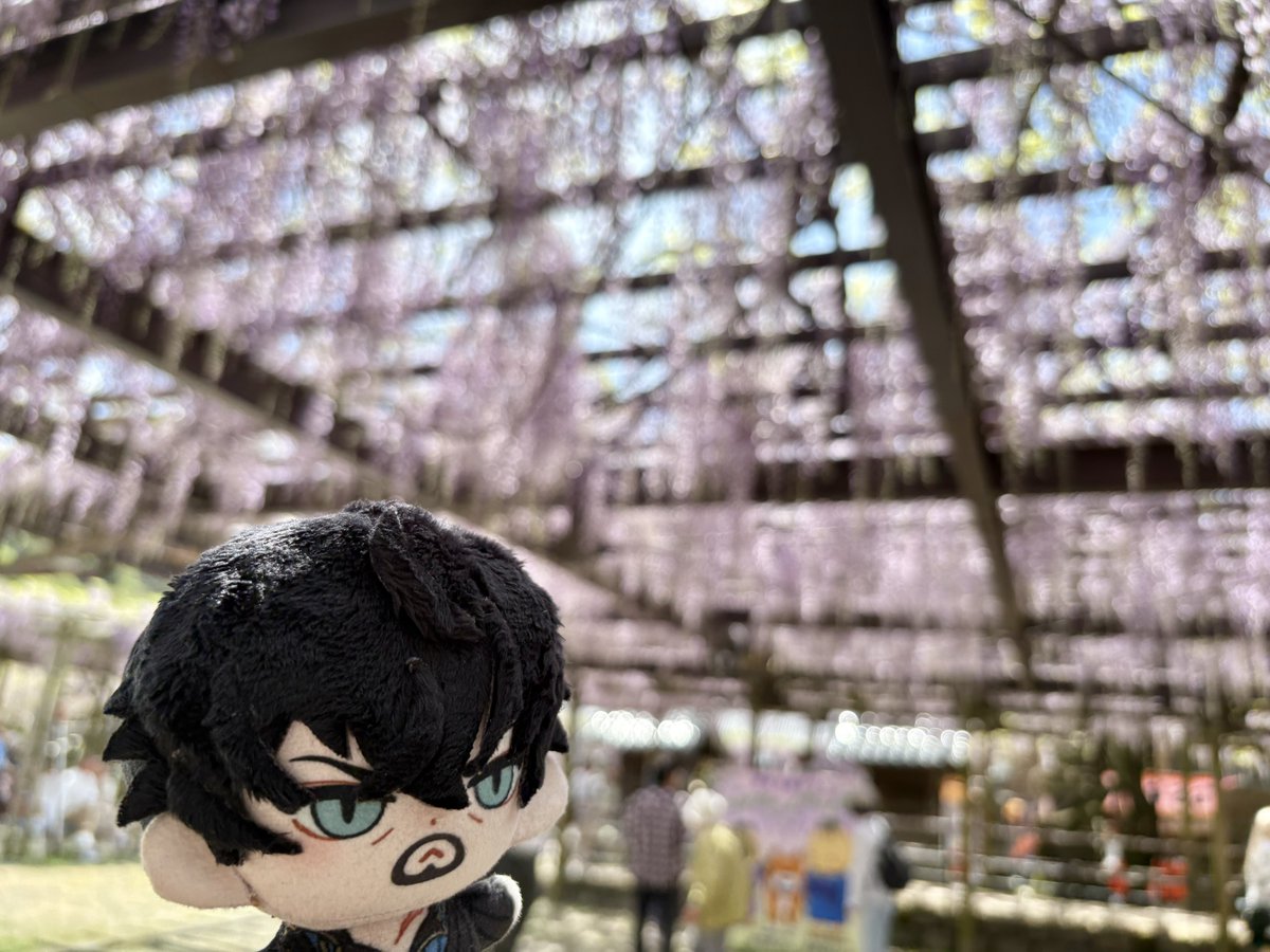 異正体不在 tweet media