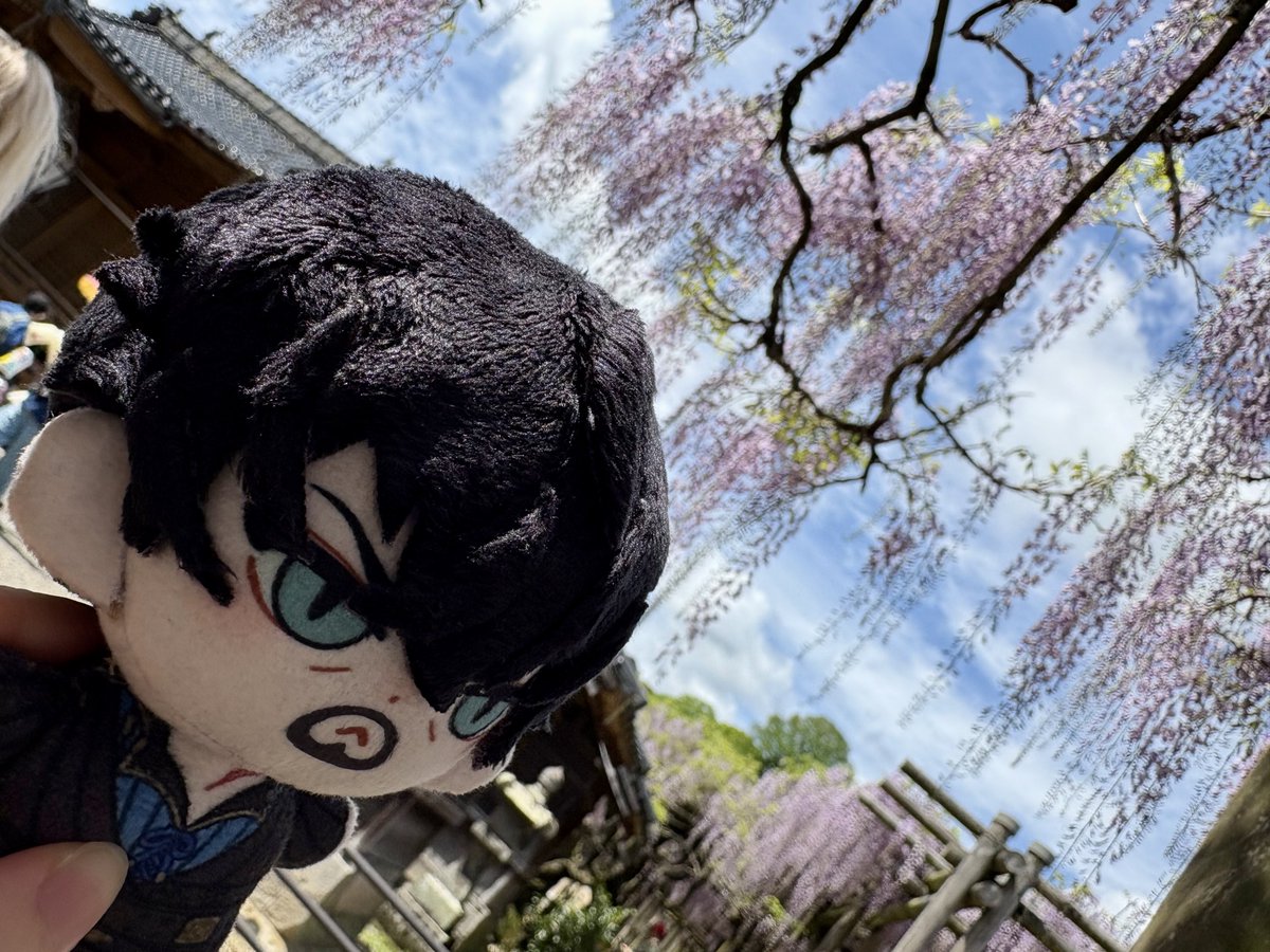 異正体不在 tweet media