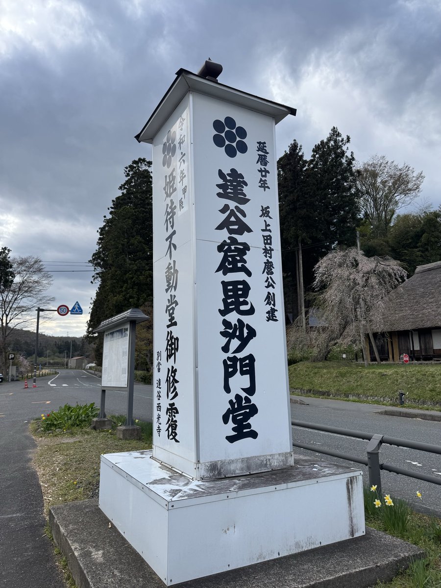 メルモねこ🕊️ tweet media