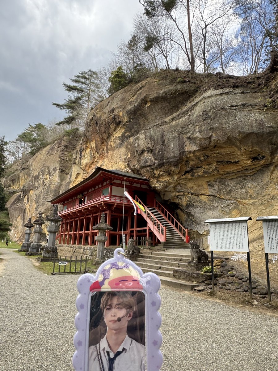 メルモねこ🕊️ tweet media