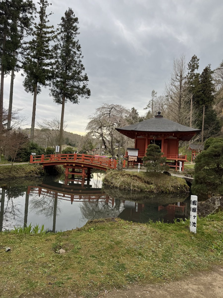 メルモねこ🕊️ tweet media