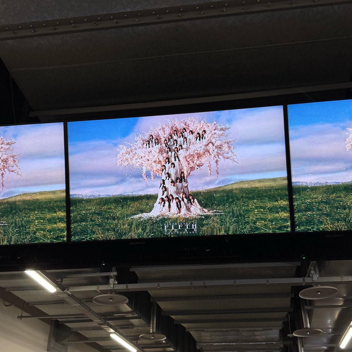 𝐘𝐮𝐚 tweet media