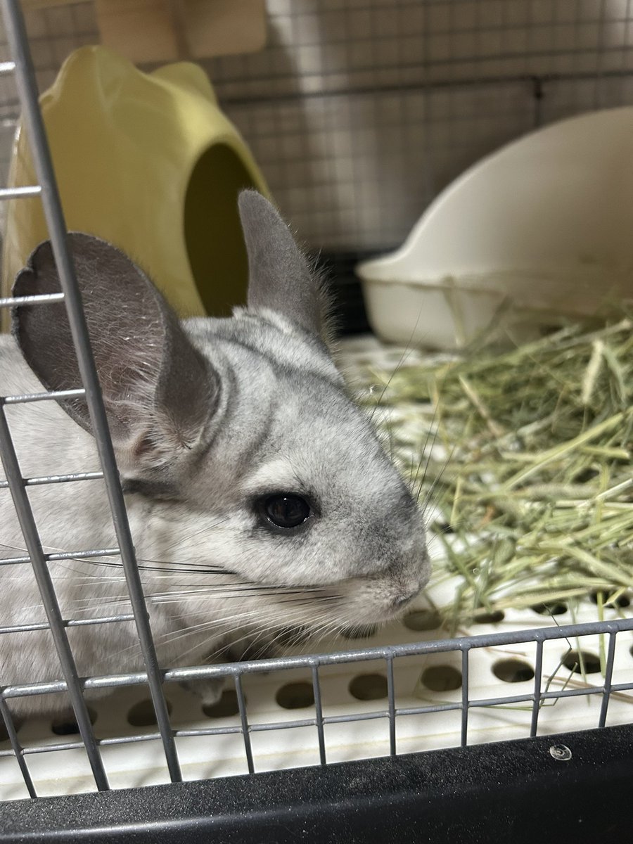 ごまママ tweet media