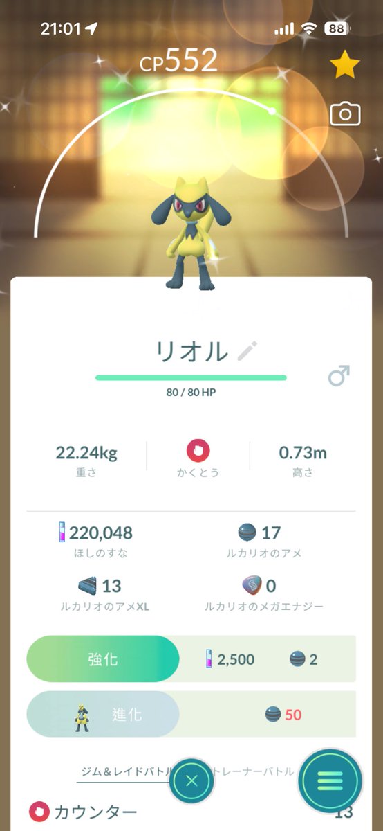 b456jm's tweet photo. リオル色違いでた https://t.co/5UJa4tRp5I