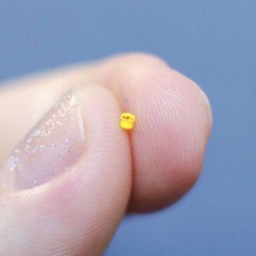 jash 🌳 ☼ tweet media