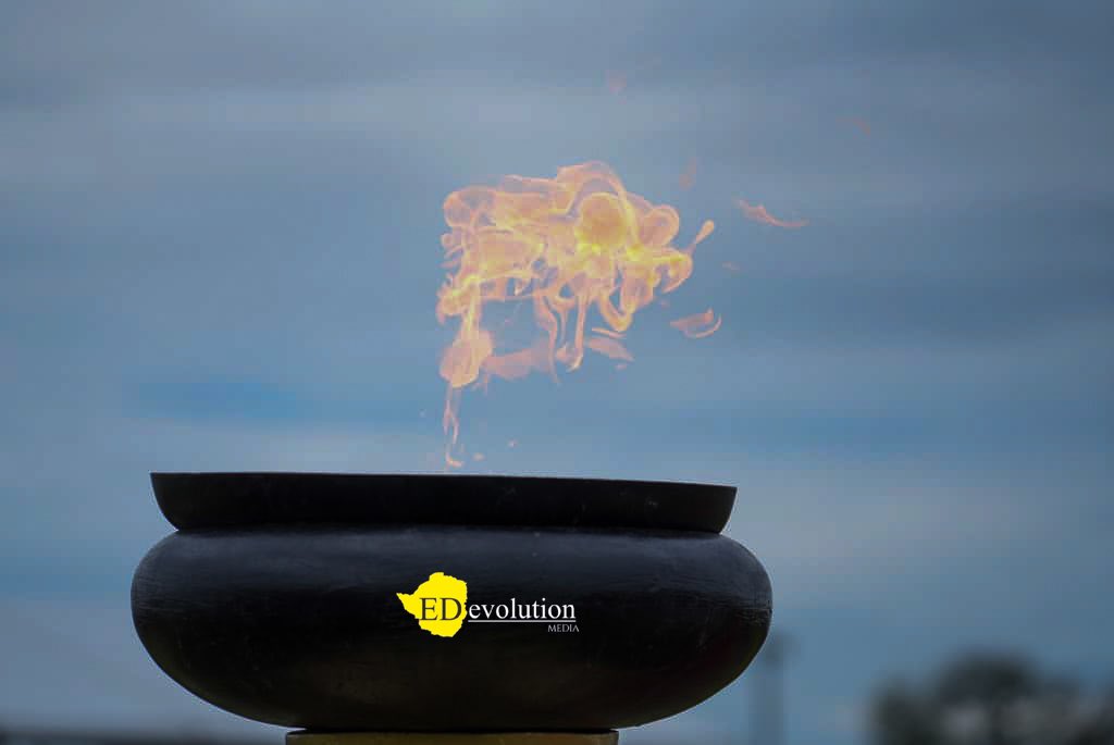 EDevolutionZW tweet media