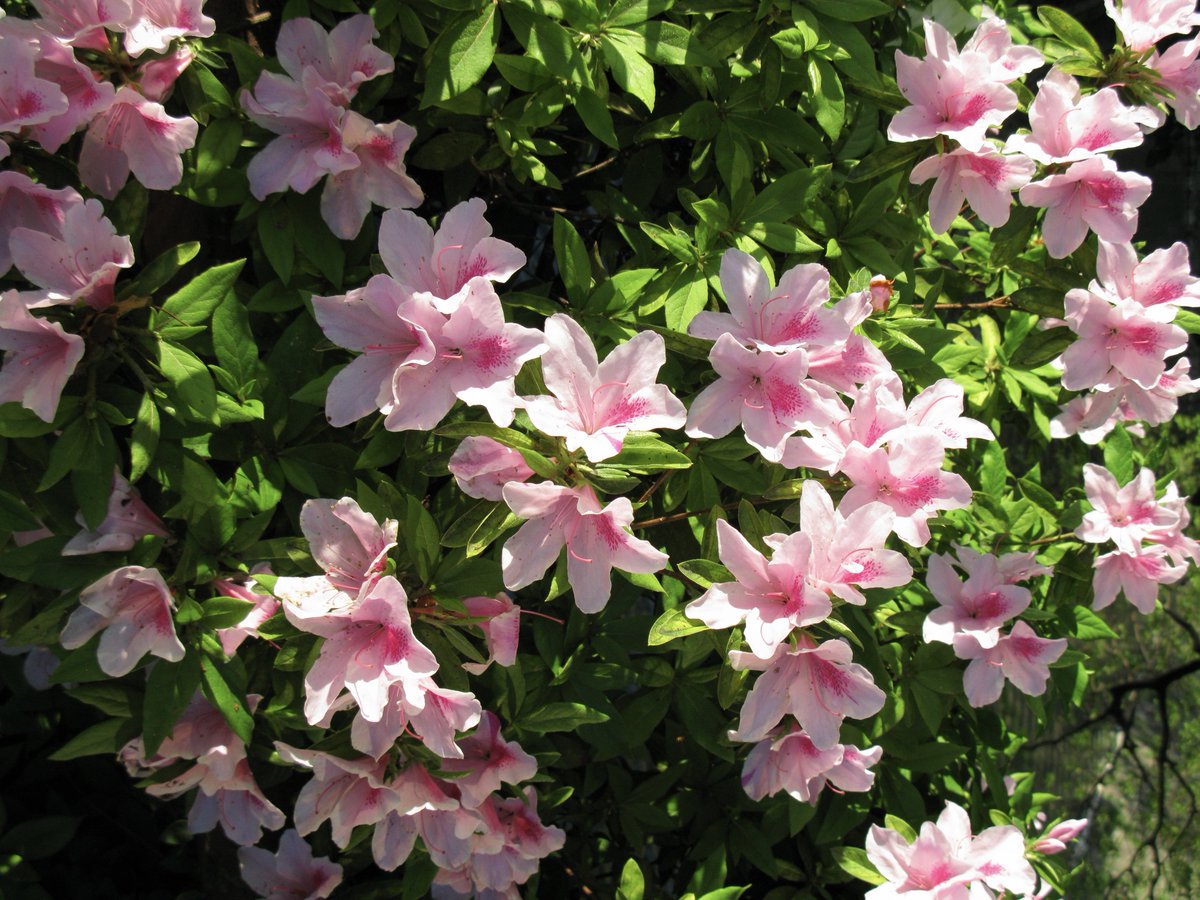 surfer.. 🏄‍♂️ (@surfffff_) on Twitter photo 