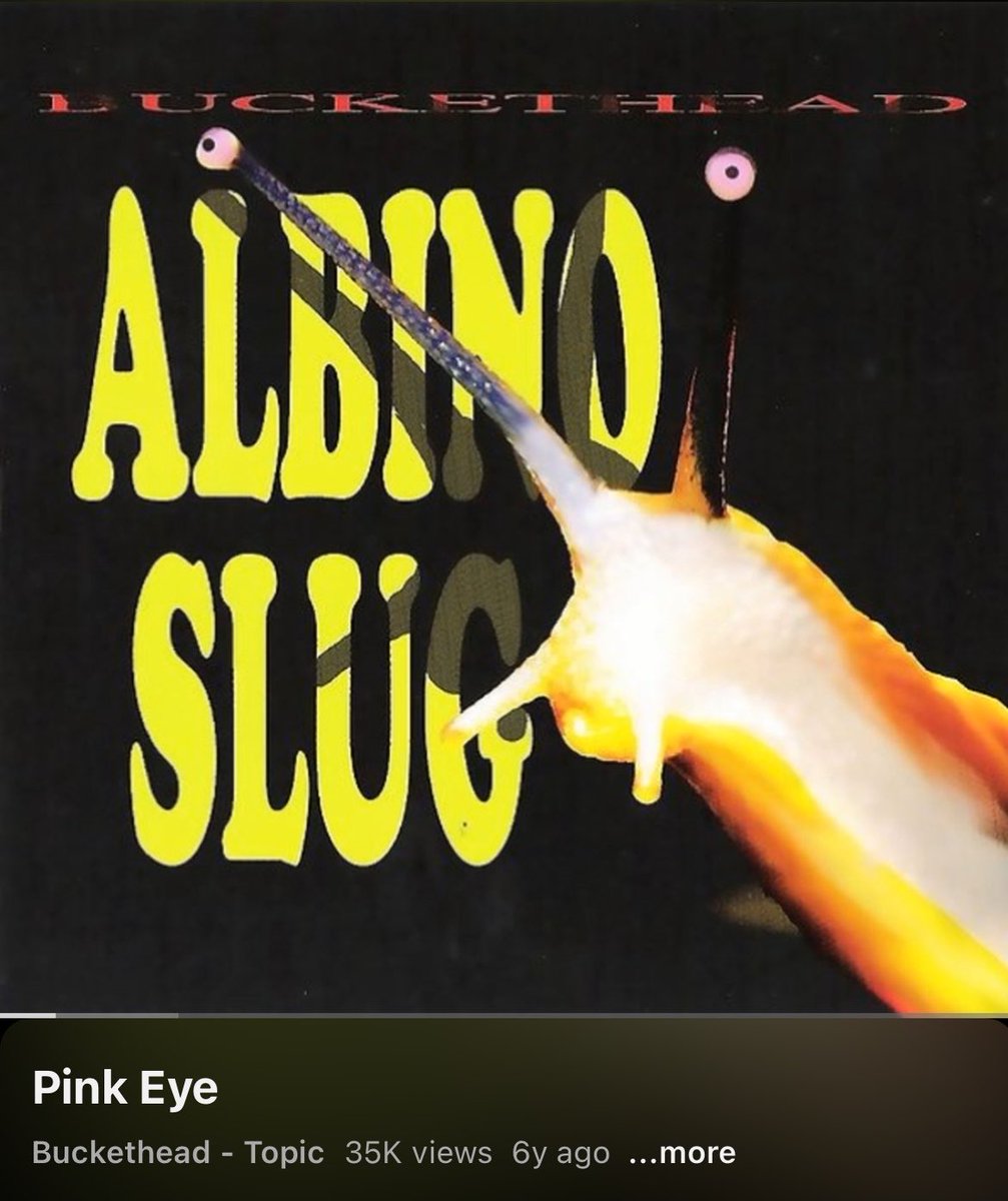 $hadowBan tweet media