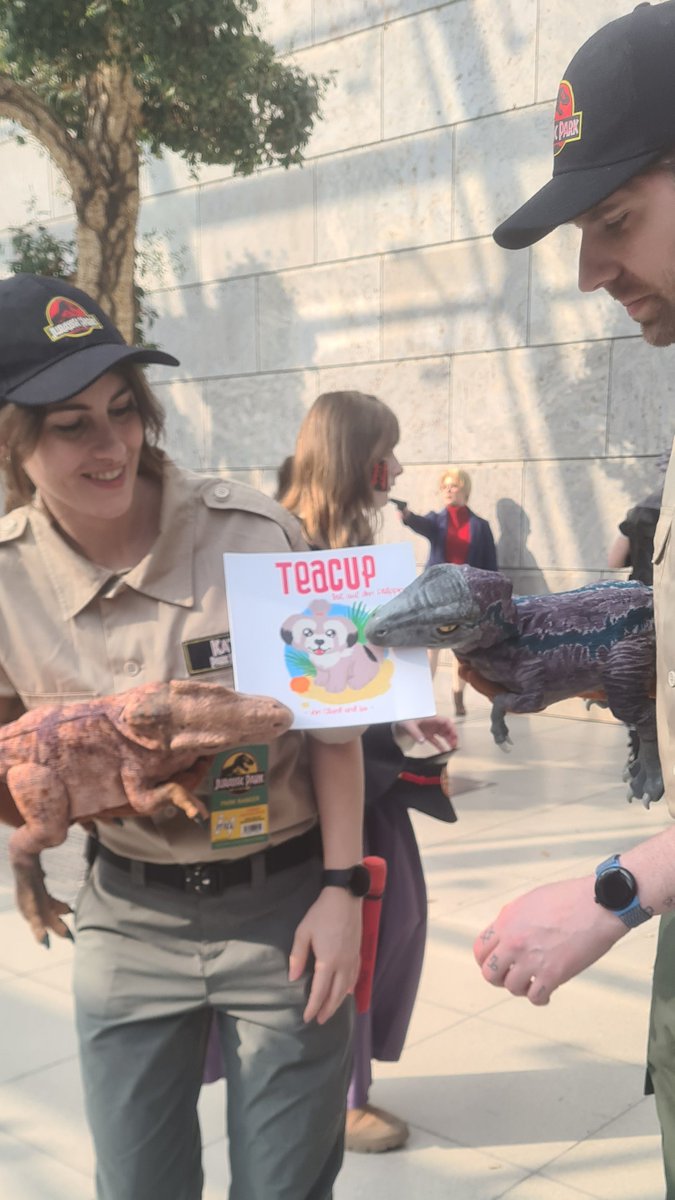 TeacupPh's tweet image. #angel Teacups #books are Loved by the Baby Dinosaurs at Jurassic Park. Teacups Family.xx🇵🇭🐶❤️💗😍🥰🙂👍
#dogs #dogsofX #book #Dinosaur #saturdayvibe #saturday