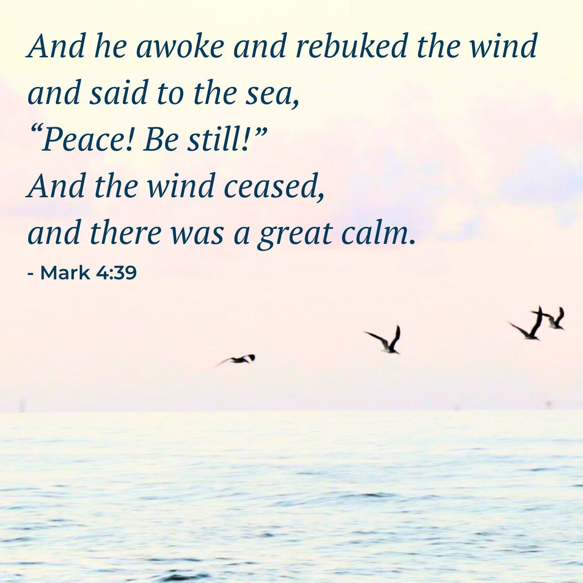 Danny Kwon tweet media