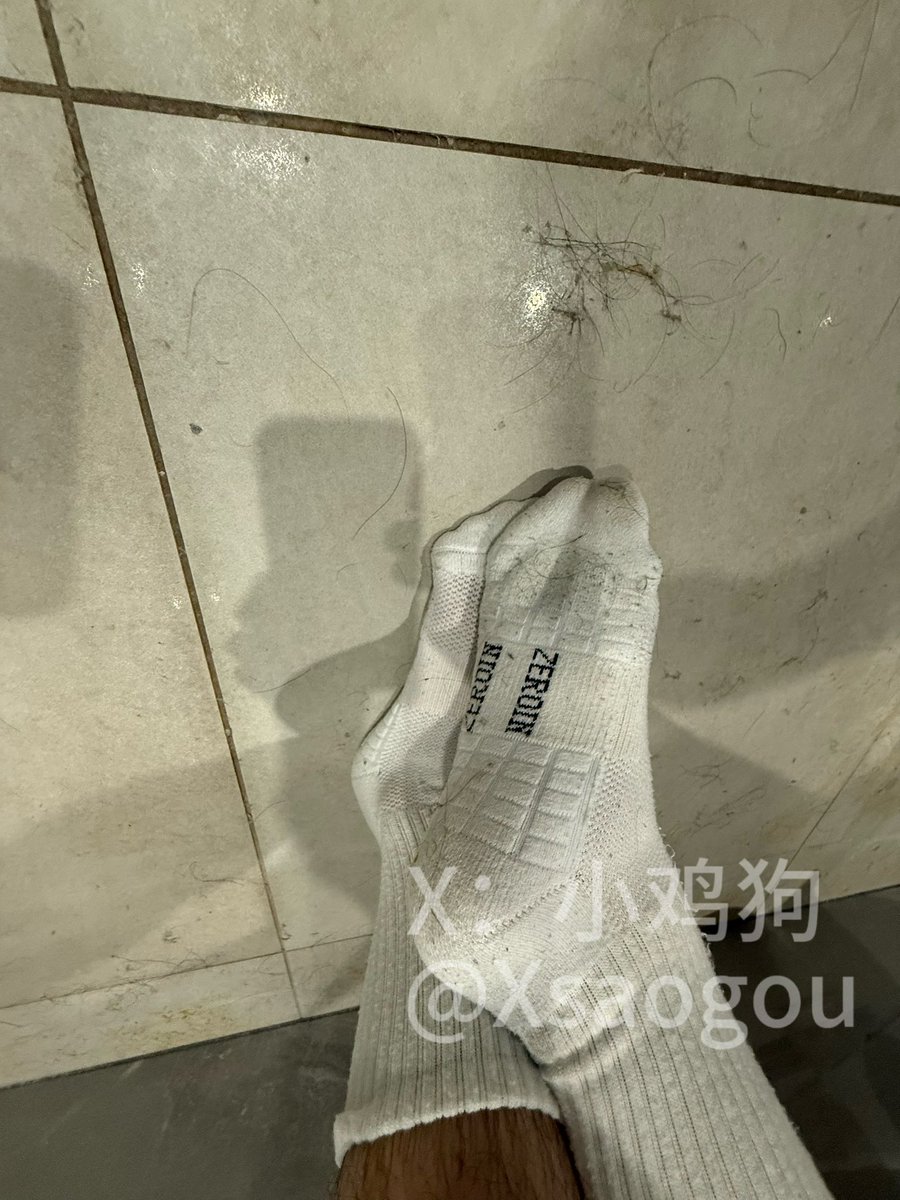 小鸡狗（互推 tweet media