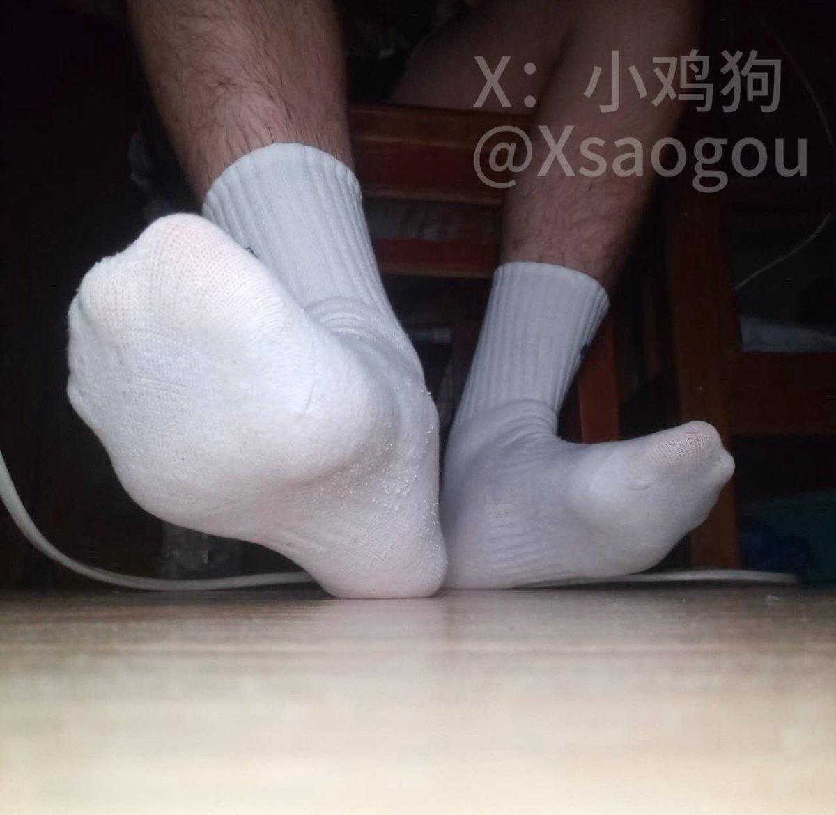 小鸡狗（互推 tweet media