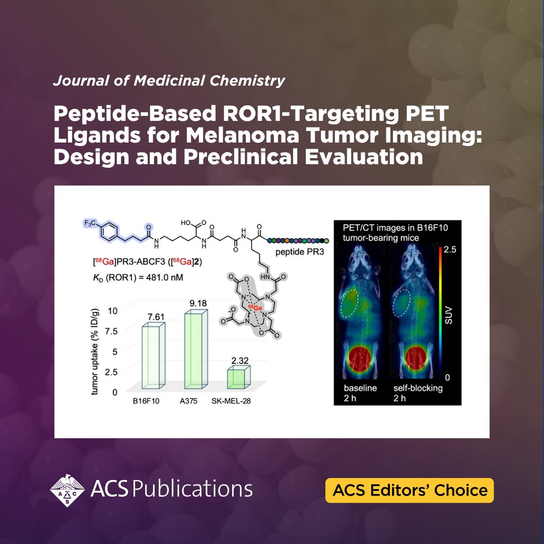 ACS Publications tweet media